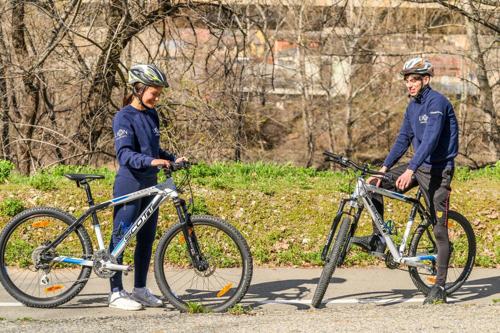 Le Lion Apartments - Bike & Ski Аоста Екстериор снимка