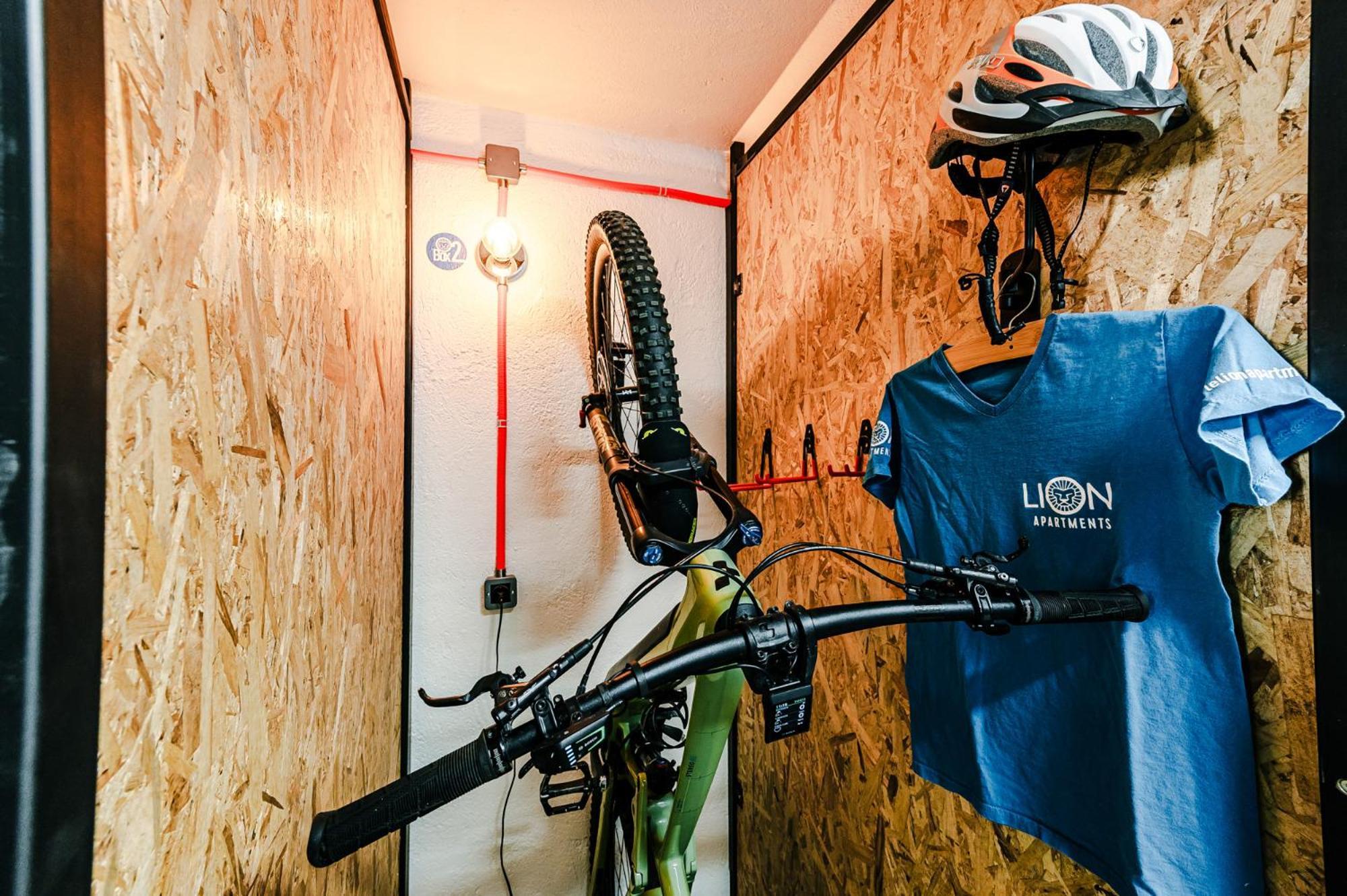 Le Lion Apartments - Bike & Ski Аоста Екстериор снимка