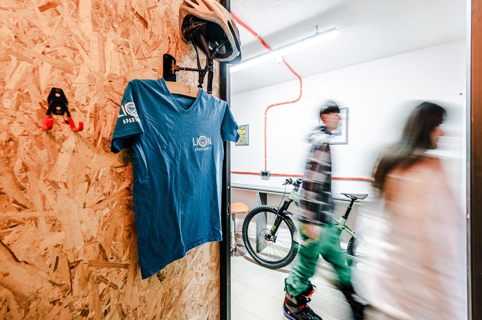 Le Lion Apartments - Bike & Ski Аоста Екстериор снимка