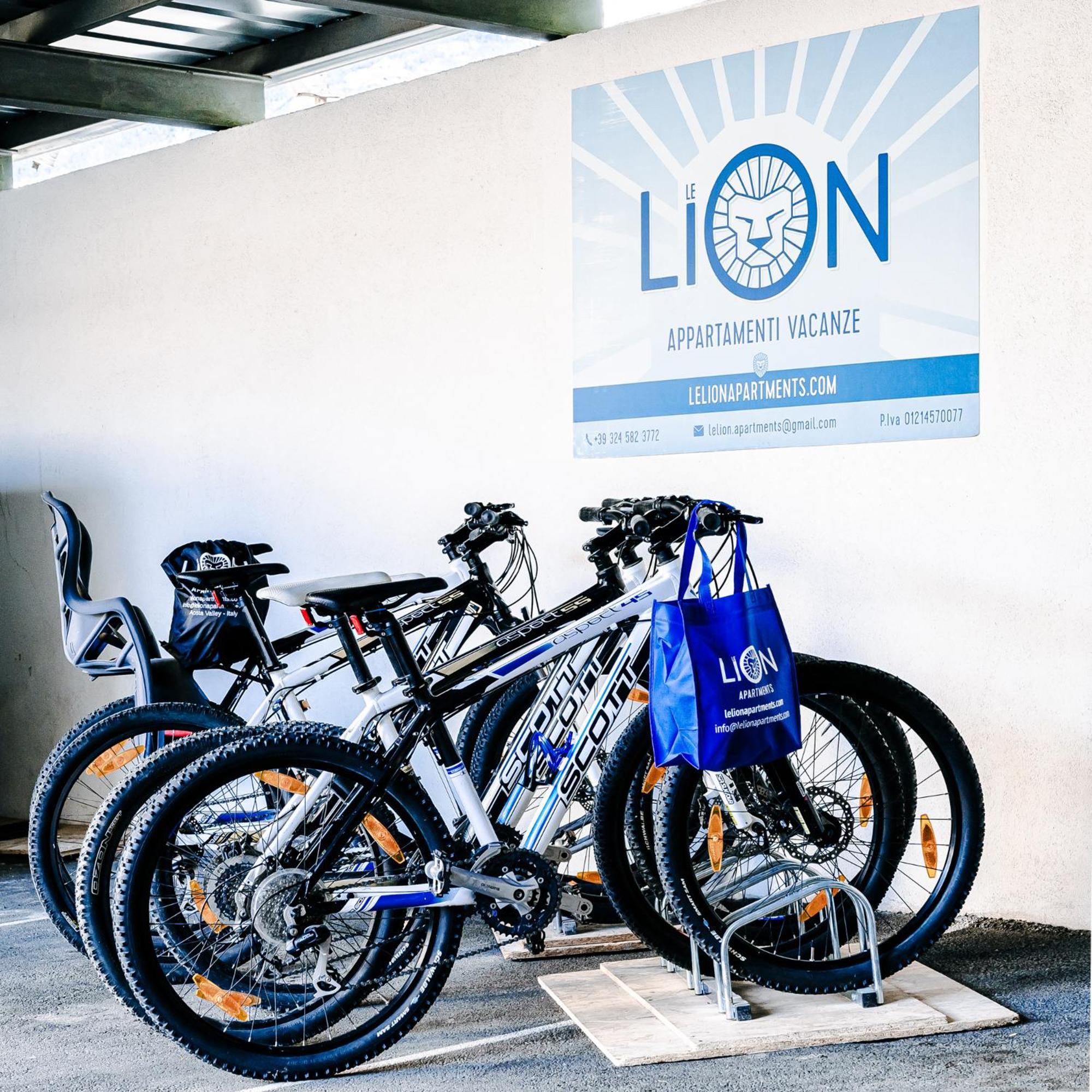 Le Lion Apartments - Bike & Ski Аоста Екстериор снимка